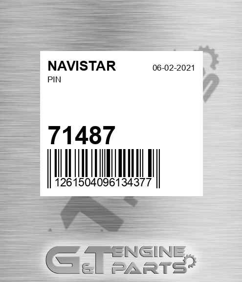 71487 Pin