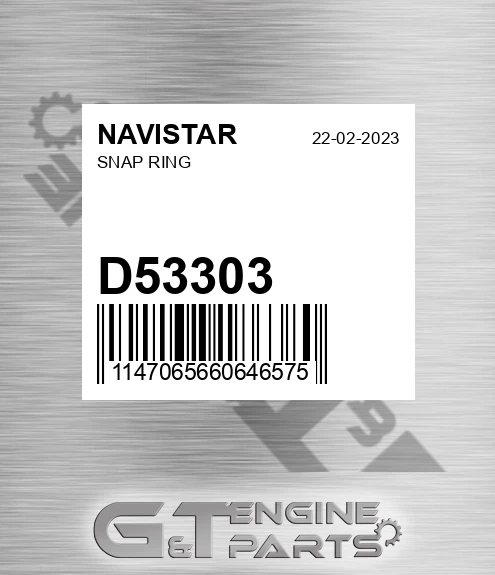 D53303 Snap Ring