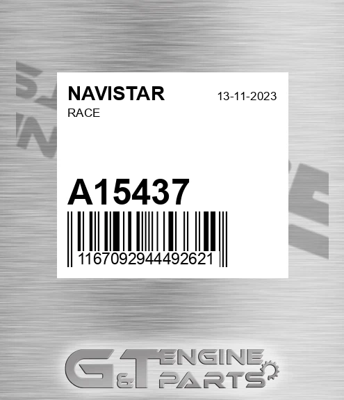 A15437 Race