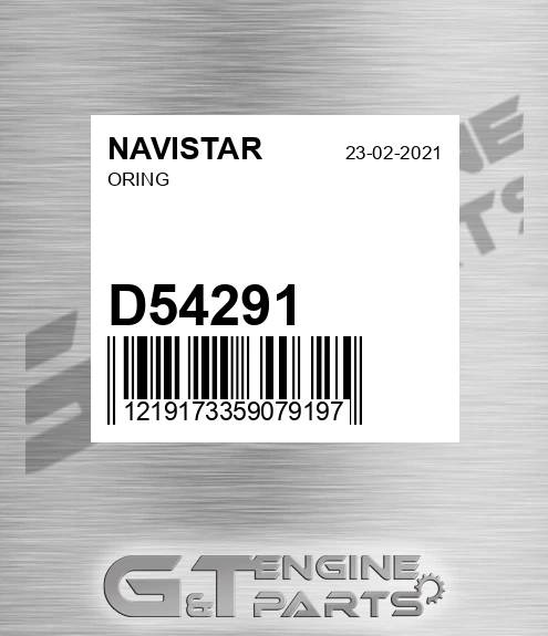 D54291 NAVISTAR Oring