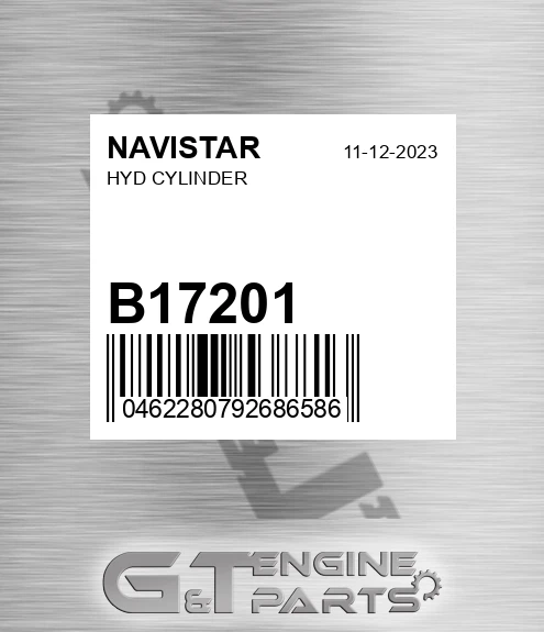 B17201 Hyd Cylinder