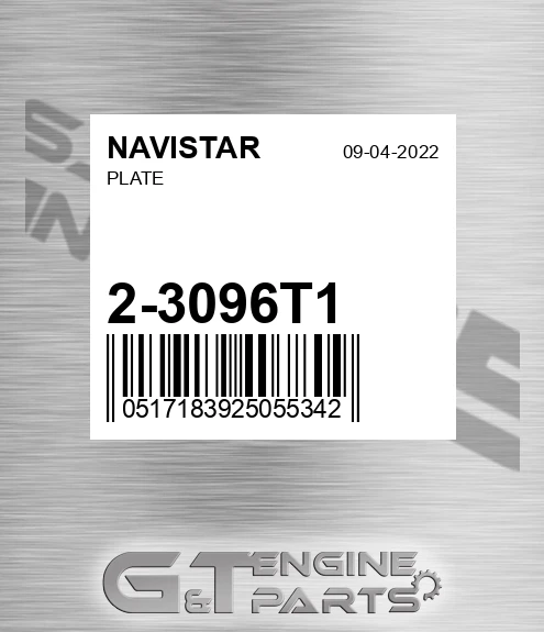 2-3096T1 Plate
