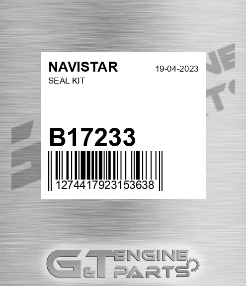 B17233 Seal Kit