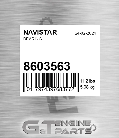 8603563 NAVISTAR Bearing
