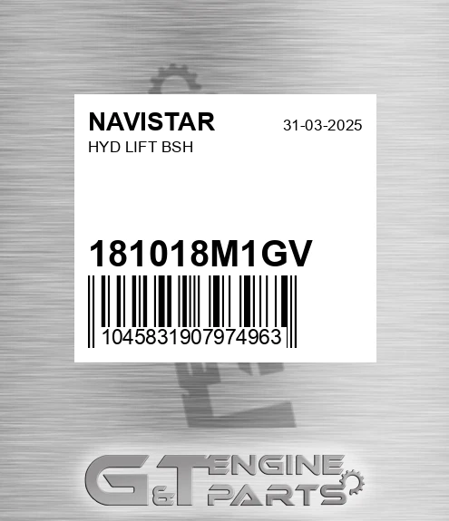 181018M1GV Hyd Lift Bsh