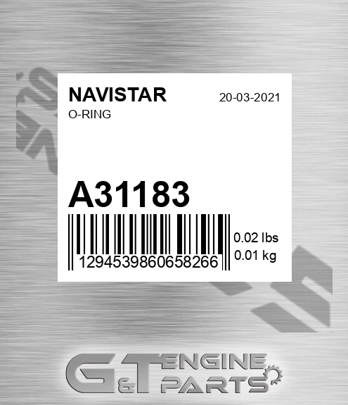 A31183 NAVISTAR O-ring