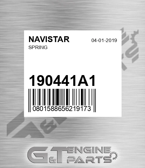 190441A1 Spring