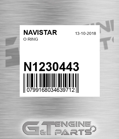 N1230443 O Ring