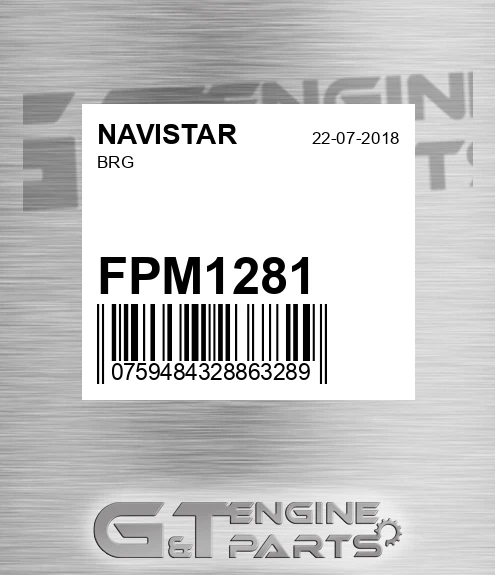 FPM1281 NAVISTAR Brg