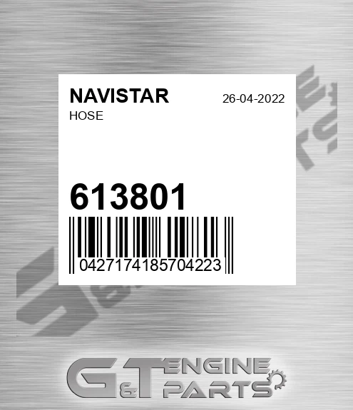 613801 Hose