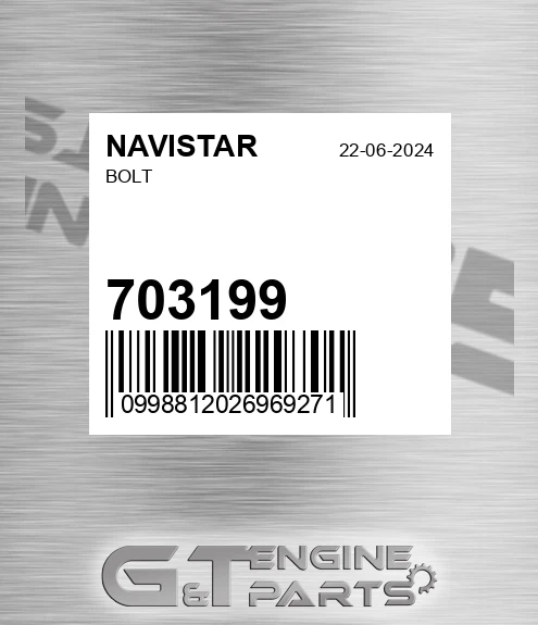 703199 Bolt
