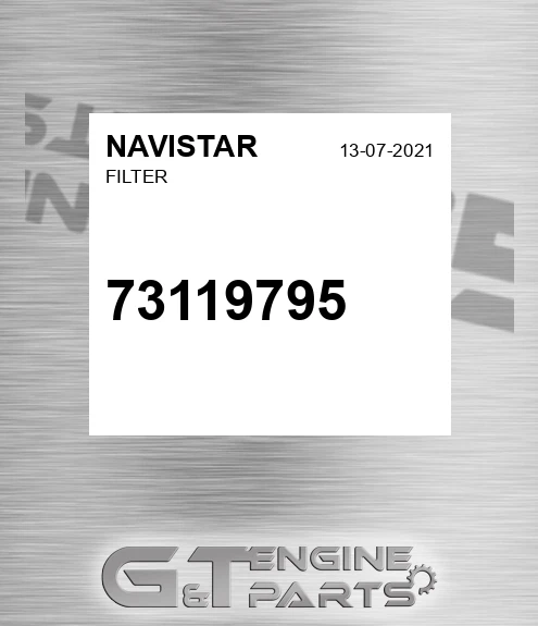 73119795 NAVISTAR Filter