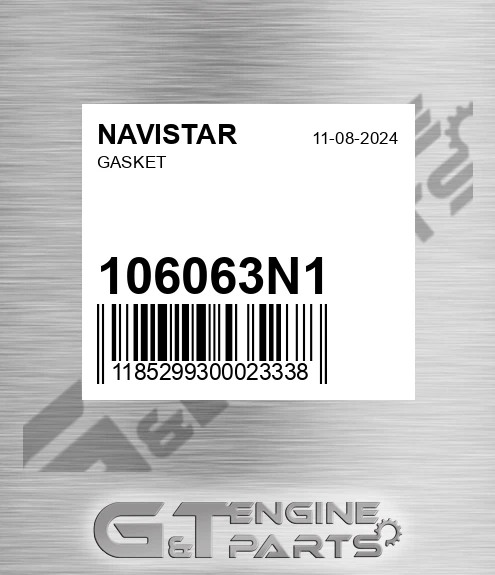 106063N1 Gasket