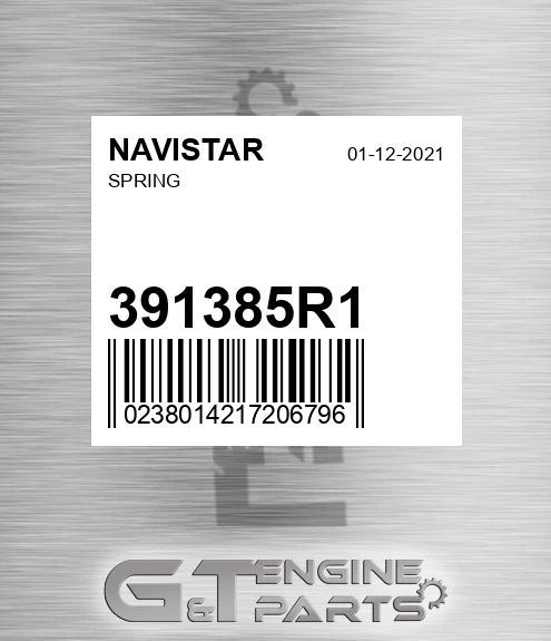 391385R1 NAVISTAR Spring