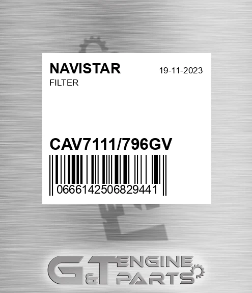 CAV7111/796GV Filter