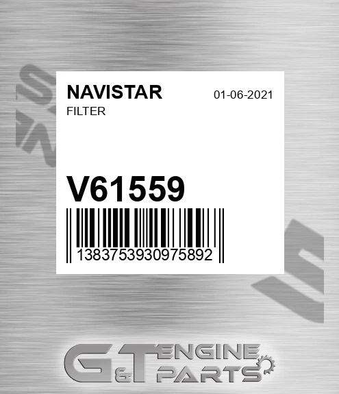 V61559 Filter