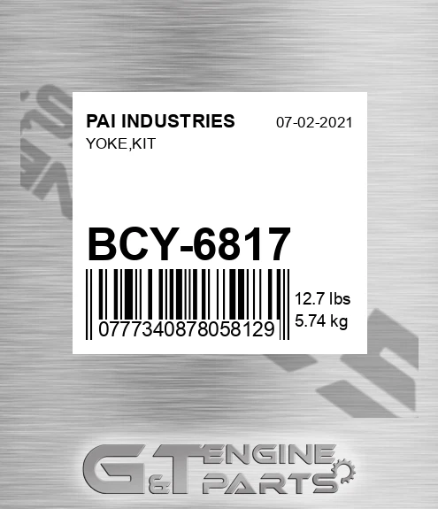 BCY-6817 Yoke,kit
