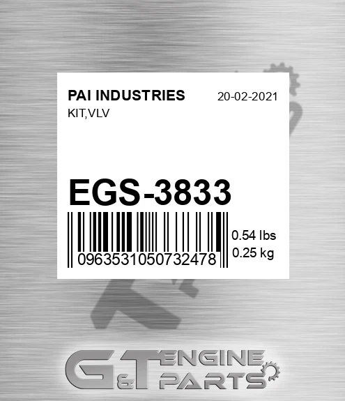 EGS-3833 Kit,vlv