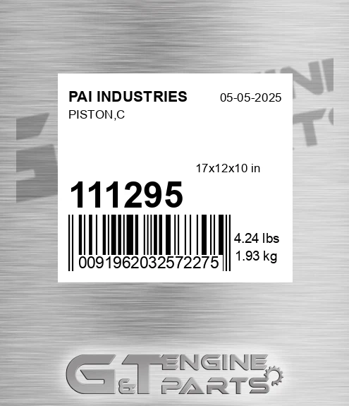 111295 Piston,c