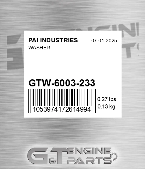 GTW-6003-233 Washer