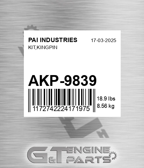 AKP-9839 Kit,kingpin for PAI INDUSTRIES