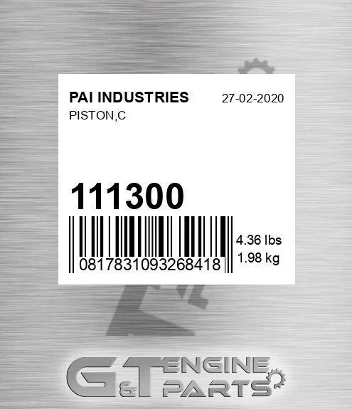 111300 Piston,c