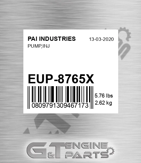 EUP-8765X Pump,inj