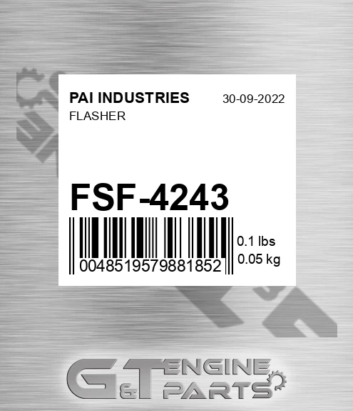 FSF-4243 Flasher