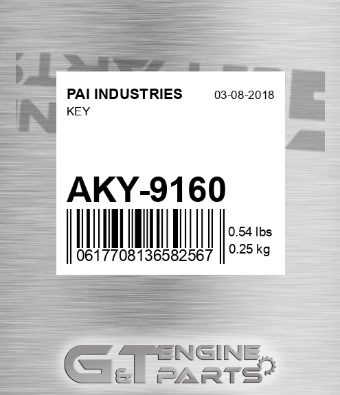 AKY-9160 Key