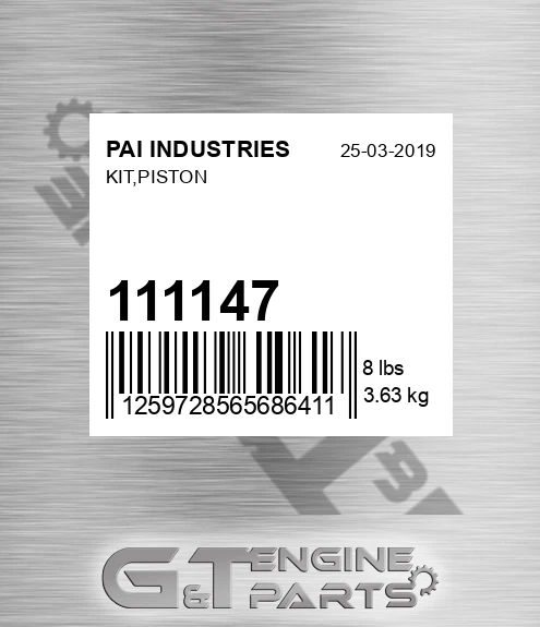 111147 Kit,piston