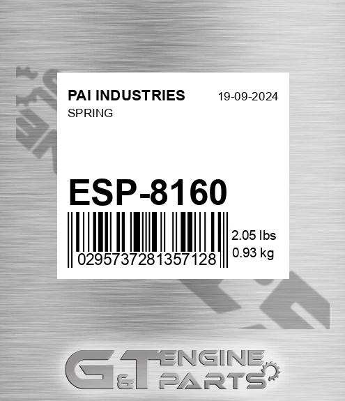 ESP-8160 Spring