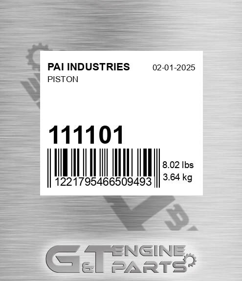 111101 Piston