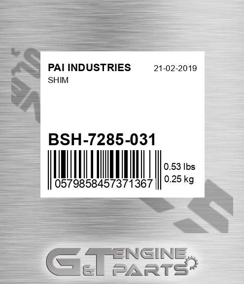 BSH-7285-031 Shim
