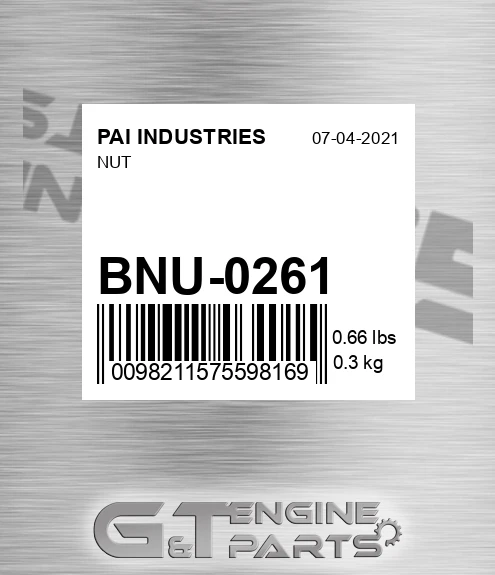 BNU-0261 Nut