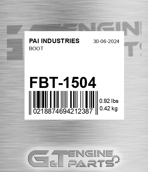 FBT-1504 Boot