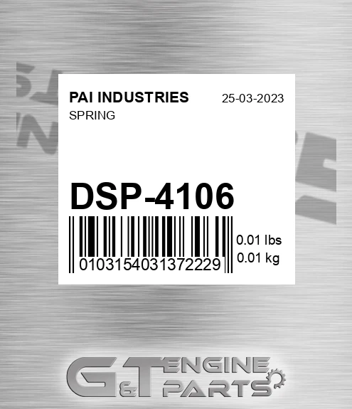 DSP-4106 Spring
