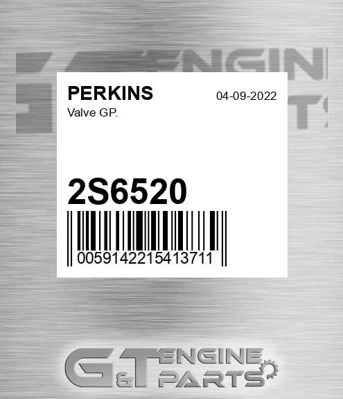 2S6520 Valve Gp.