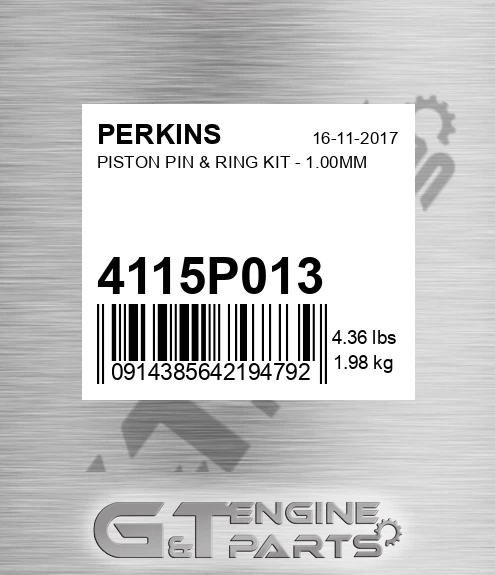 4115P013 Piston Pin & Ring Kit - 1.00mm