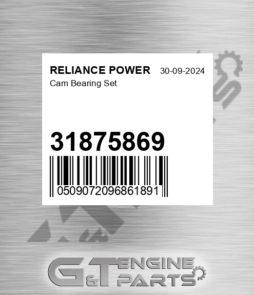31875869 RELIANCE POWER Cam Bearing Set