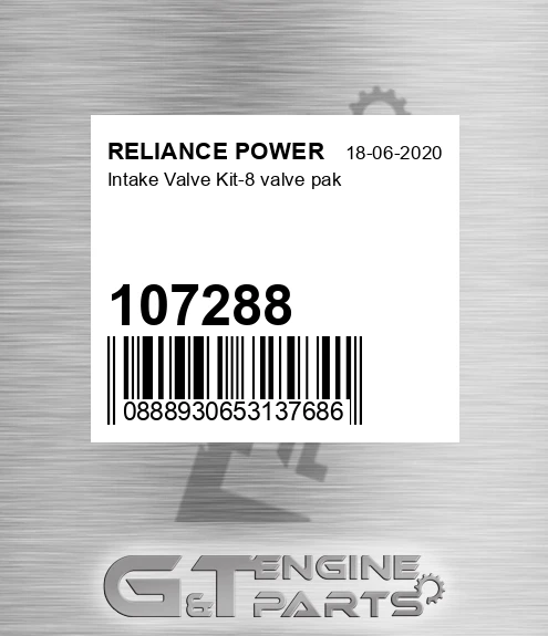 107288 Intake Valve Kit-8 Valve Pak