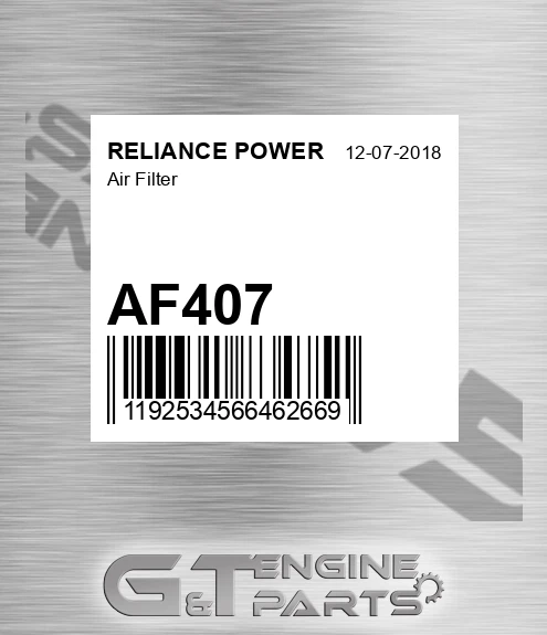 AF407 Air Filter