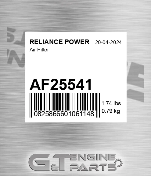 AF25541 Air Filter