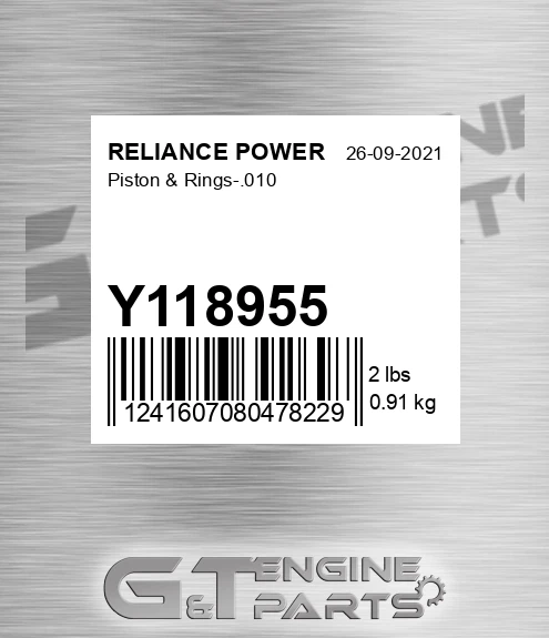 Y118955 Piston & Rings-.010