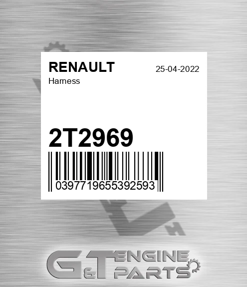 2T2969 RENAULT Harness