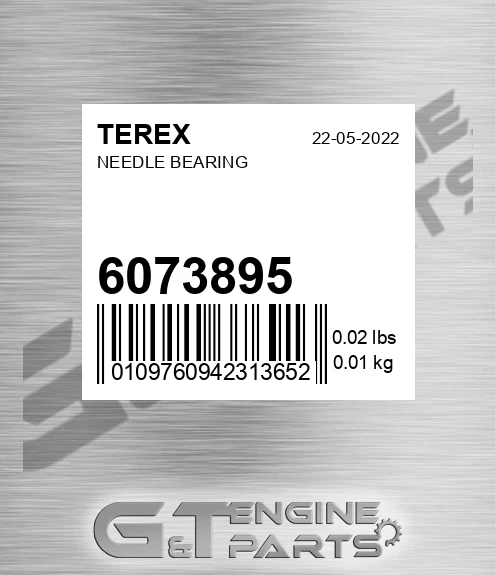 6073895 Needle Bearing