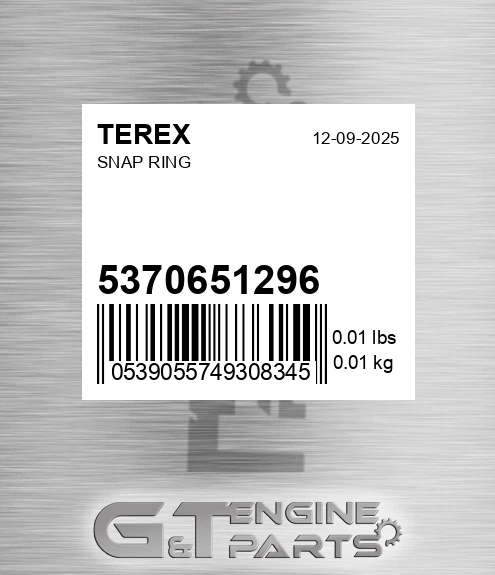 5370651296 Snap Ring for TEREX