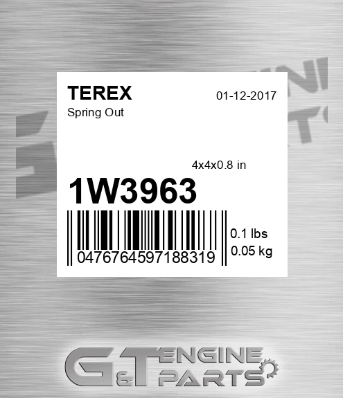 1W3963 Spring Out