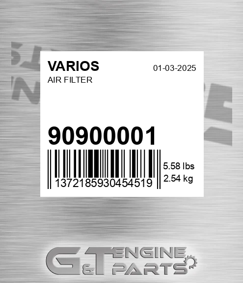 90900001 Air Filter for VARIOS