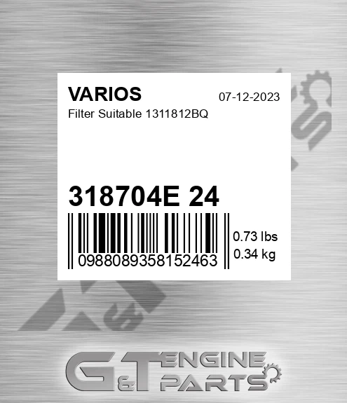 318704E+24 Filter Suitable 1311812bq for VARIOS