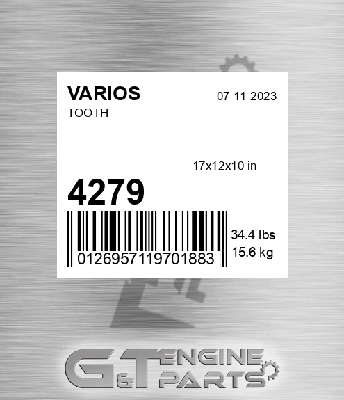 4279 Tooth